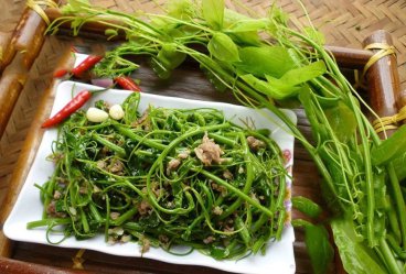 Rau bồ khai (Rau dạ hiến) (Bắc Kạn)