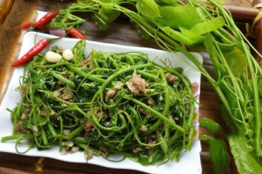 Rau dớn (Bắc Kạn)