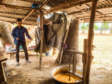 Đường, nước và trái Thốt nốt (An Giang)