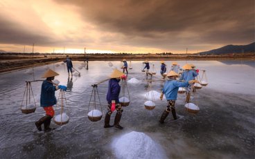 Cải muối (Xá pấu, Cốn xại) (Bạc Liêu)