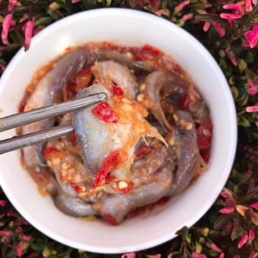Mắm chua không xương Vĩnh Hưng (Bạc Liêu)