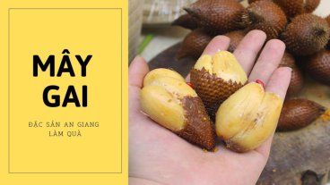 Mây gai (Trái mây) (An Giang)