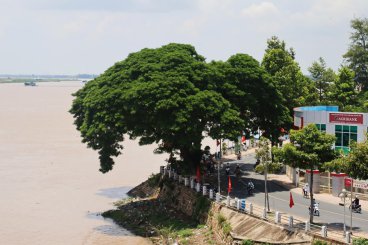 Lía Tân Châu (An Giang)