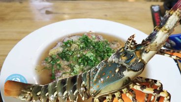 Tiết Canh Tôm Hùm (Bà Rịa - Vũng Tàu)