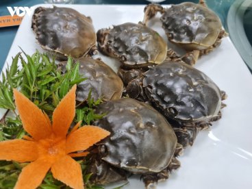 Cua da (cua ra / cà ra) (Bắc Giang)